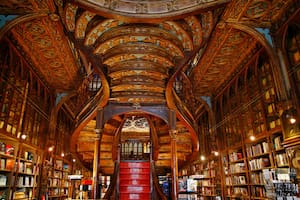 Las 10 librerías más antiguas del mundo: entre ellas, una célebre porteña