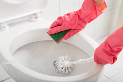 La limpieza óptima del inodoro prevendrá enfermedades y mejorará su funcionamiento