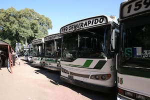 Paro de colectivos: qué líneas no funcionan y hasta cuándo, este martes 11 de noviembre