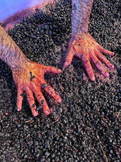 La línea La Imaginación al Poder nació con la pandemia.