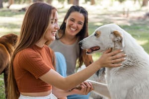 La lista de razas poco recomendadas para quienes adoptan por primera vez