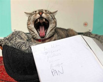 La lista del súper que Oliverio Coelho hizo en un blanco de La novela luminosa, de Mario Levrero