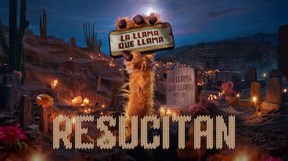 La Llama que Llama, uno de los íconos de la publicidad argentina de fines de los 90, vuelve este viernes 27 de febrero como una miniserie original que se podrá ver en Flow