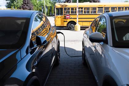 La llegada de Donald Trump a la Casa Blanca podría afectar este rubro