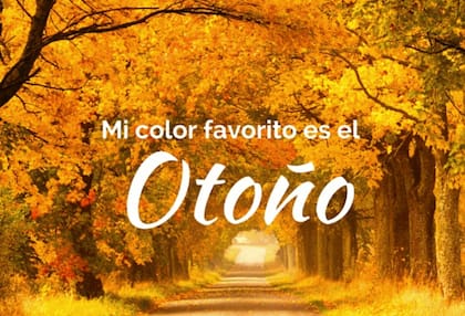 La llegada del otoño inspira frases e imágenes que ilustran esta época del año (fuente: Euroresidentes)