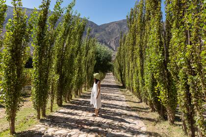 La llegada del tren de la quebrada promovió la apertura de nuevos alojamientos en Maimará