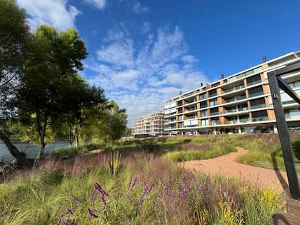 La lluvia arrastra materiales que contaminan el agua; para evitarlo, se han creado sistemas de drenaje sostenible, como los jardines de lluvia, que ayudan a gestionar mejor el agua de lluvia en las ciudades. Edificios Riba, Montevideo Paisajismo: Estudio Amalia Robredo.