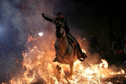 La localidad de San Bartolomé de Pinares celebra las tradicionales hogueras para purificar a más de un centenar de caballos como parte de las festividades del patrón de los animales.