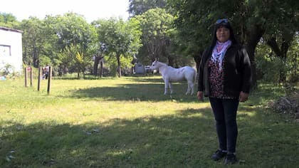 La lonco Liliana Antimán