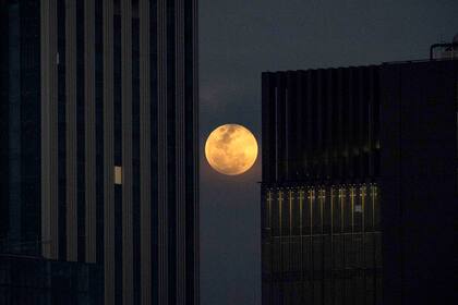 La luna asoma entre los edificios más altos de Bangkok, Tailandia