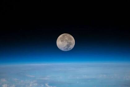La Luna jugó un papel clave para que la vida se dé en la Tierra