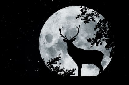 La Luna llena de julio se conoce como "Luna del Ciervo"