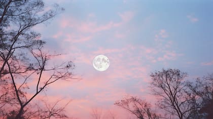 La Luna llena tendrá lugar el 3 de enero de 2026 y se la conoce como Luna del Lobo (Archivo)