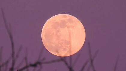 La Luna rosa altera los sentidos para vivir nuevas experiencias