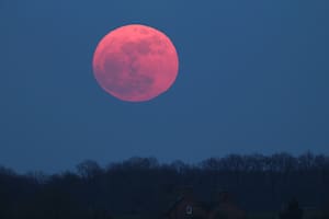 Luna rosa en Escorpio: mantras poderosos para repetir durante el fenómeno astronómico