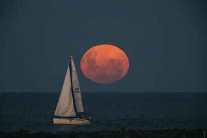 La luna rosa en Mar del Plata, provincia de Buenos Aires, Argentina (Foto: Twitter @munimardelplata)