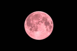 La Luna Rosa tendrá lugar el 13 de abril de este año (Foto: iStock)