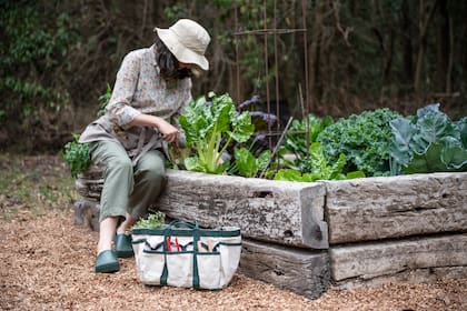 La luna tiene influencia sobre las plantas, ya que controla la distribución del agua y, por tanto, la cantidad de humedad disponible para los cultivos