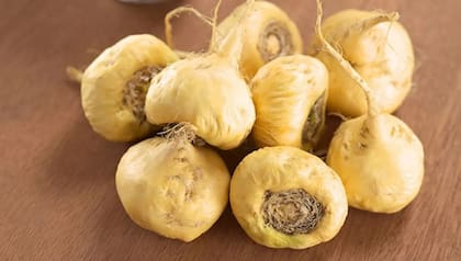 La maca cuenta con un sinfín de beneficios para tu salud