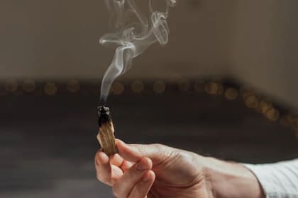 La madera de Palo Santo contiene una sustancia natural que se extrae del aceite de las cáscaras de los cítricos