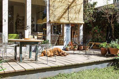 Tilo duerme su siesta al sol sobre el deck que hicieron los dueños con madera tratada para exterior, opción resistente y económica. El espacio está ambientado con macetas y una mesita con sillas Bertoia. 