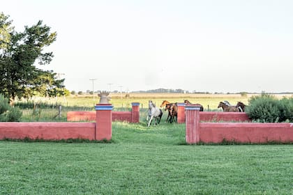 La madre de Desirée, de quien ella recibió La Prvidencia, era una apasionada por los caballos.