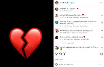 La madre de Harry Styles despidió a Payne en las redes (Foto: Instagram @annetwist)