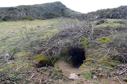 La madriguera del conejo donde los guardianes encontraron artefactos recién descubiertos