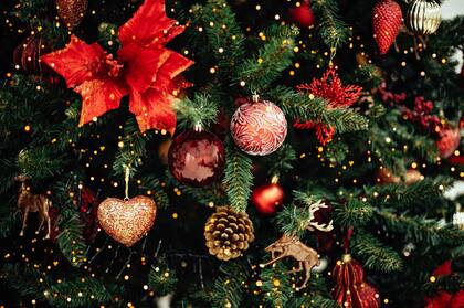 “La magia de la Navidad es la magia de las personas como tú, que haces que un año se pase volando”, es una de las frases para dedicar en Navidad