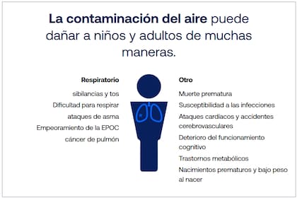 La mala calidad del aire trae graves consecuencias para la salud