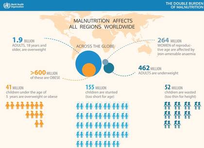 La malnutrición afecta a todos los países del mundo (X / @WHO)