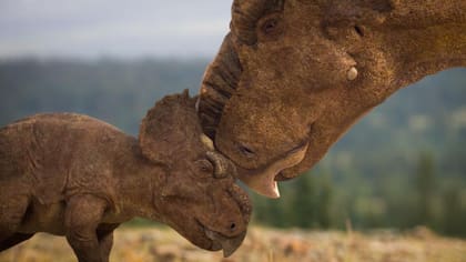 La manada de bestias fue probablemente aniquilada en un desastre natural