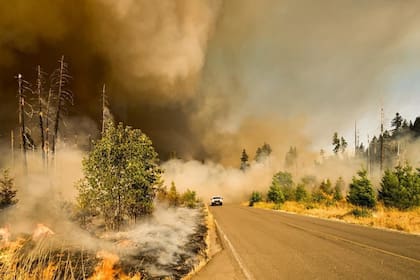 La manera como se usa y administra la tierra en el Amazonas también contribuyen a impulsar fenómenos extremos