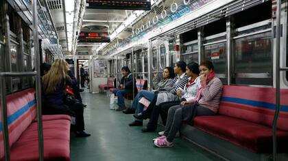 Al subte con mascotas