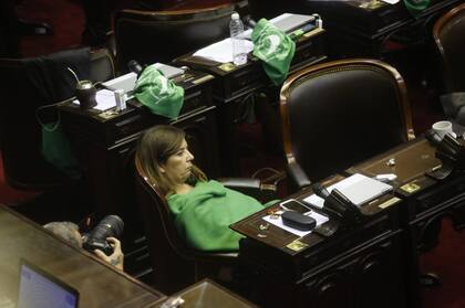 La manta verde de Gabriela Cerruti
