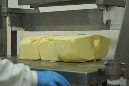 La manteca y la leche en polvo, también provienen del tambo y se elaboran en este polo indiustrial.