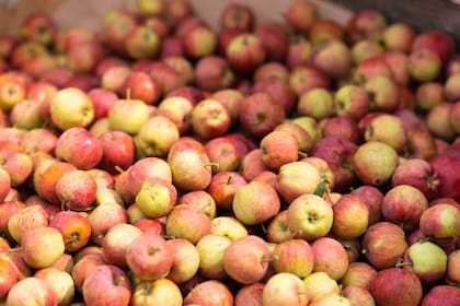 La manzana es un buen alimento para la mente, lo que agrada a las personas de Virgo