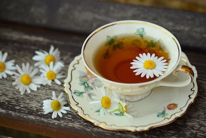 La manzanilla puede consumirse para tratar problemas digestivos, ayudar a dormir, o si se ha comido algo con mucha grasa, puede ayudar en la digestión del mismo