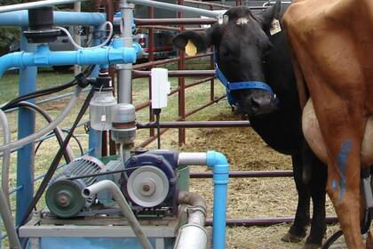 La máquina de ordeñe cuesta alrededor de $50.000