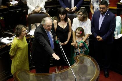 La maratónica sesión por la ley de emergencia económica comenzó con la jura de algunos diputados