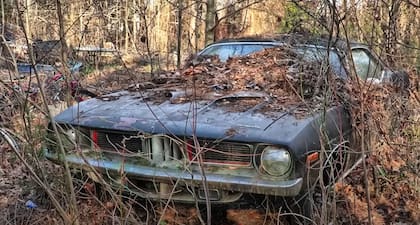 La marca favorita del padre de Rachel era Cuda y buscó coleccionar varios de sus modelos