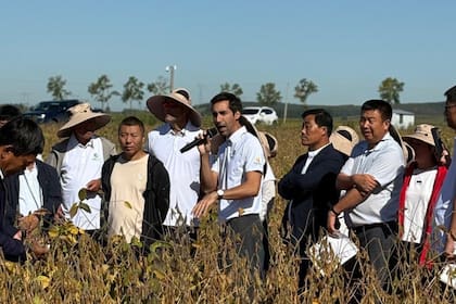 La marca Jin Dou Mao se lanzó en 2025 para el mercado chino.
