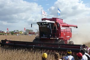 Duro presente e incierto futuro de una empresa argentina que fabrica cosechadoras