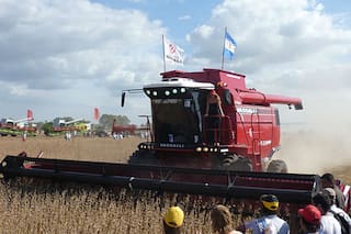 Duro presente e incierto futuro de una empresa argentina que fabrica cosechadoras