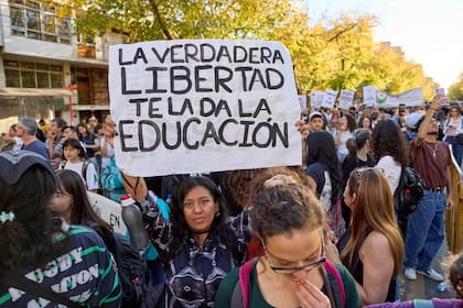 La marcha en Mendoza