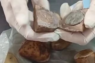 Arrestaron a una mujer que intentó ingresar en una cárcel con papas rellenas de marihuana