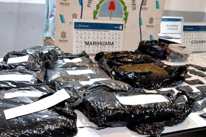 La marihuana secuestrada en los allanamientos