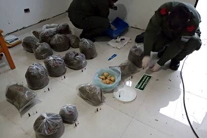 La marihuana secuestrada en una casa de Pilar