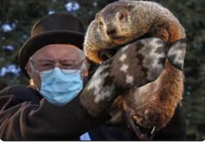 La marmota Phil, es la celebridad más famosa de Pensilvania