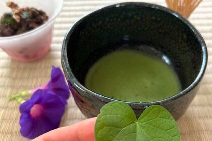 La matcha tiene muchos beneficios para la salud